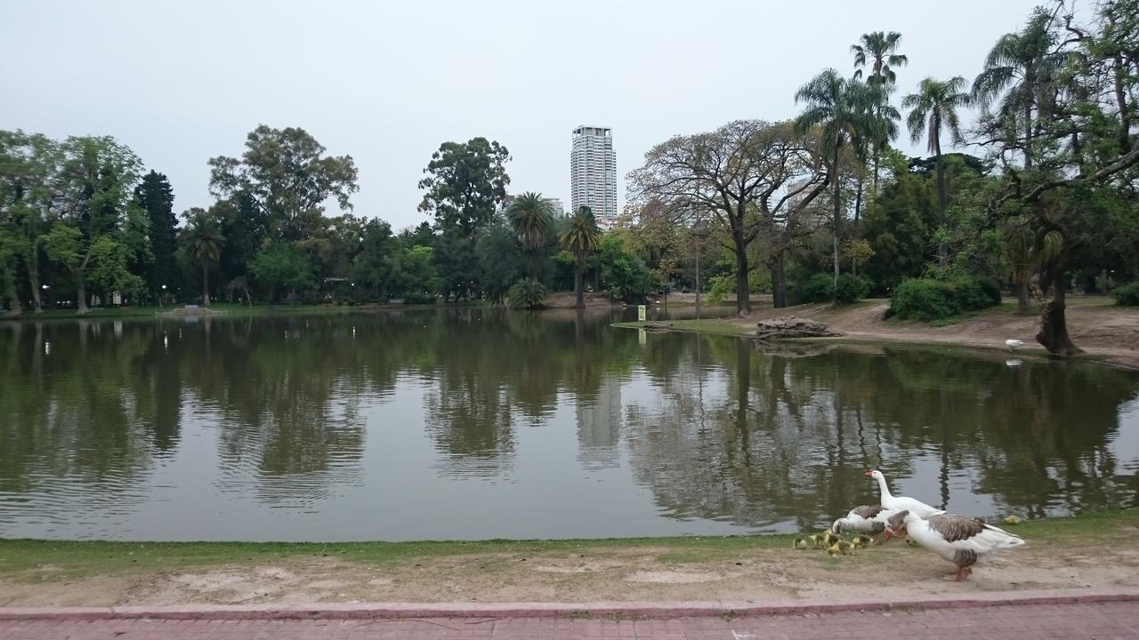 Appartamento Muy Luminoso Palermo Chico 10' Aeroparque 100m del Mater dei Buenos Aires Esterno foto